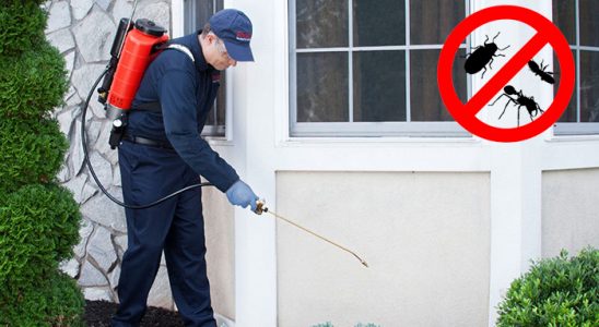 Güzelyurt Kene İlaçlama böcek ilaçlama ve haşere kontrolü — ilaclama-tr.com